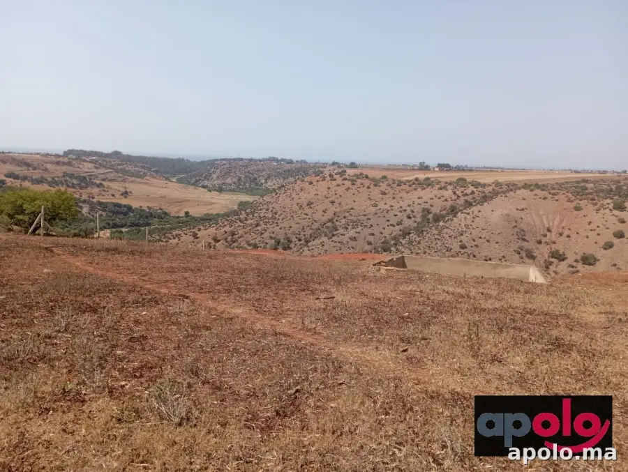 Prés Oued Chârrat Terrain avec vue panoramique 