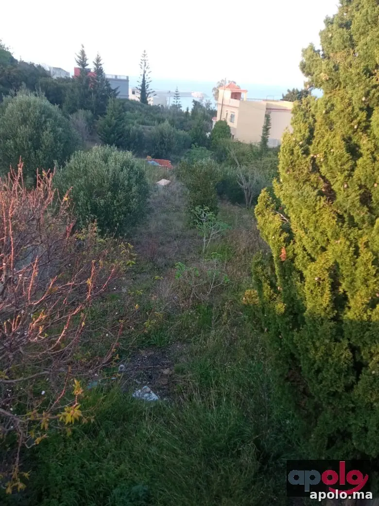 ارض للبيع 250.م بي زهارة القصر صغير