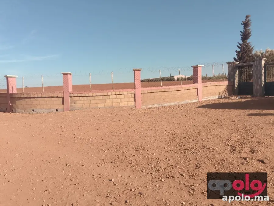 ارض للبيع المساحة 5 هكتار 