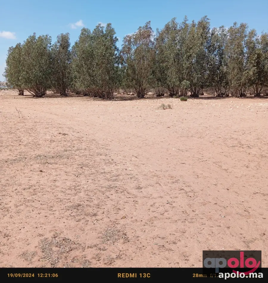 ارض للبيع المساحة 30هكتار