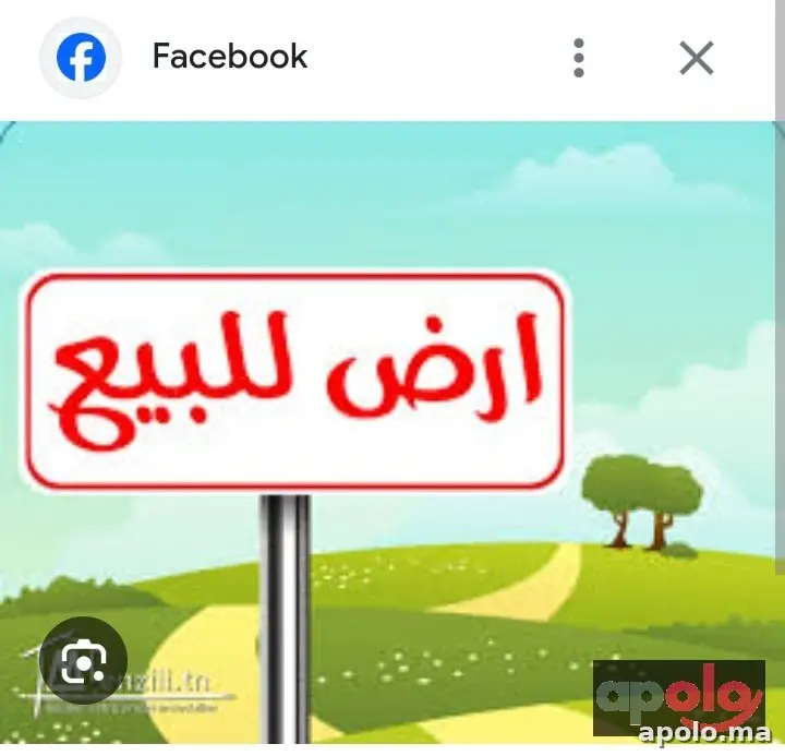 ارض فلاحية محفظة صالحة للبناء فيلا أو سكن أرض ممتازة 