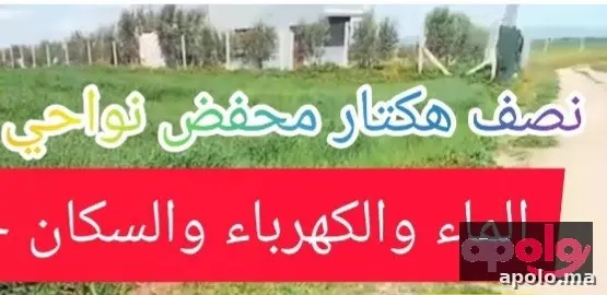 نصف هكتار صالحة للبناء 