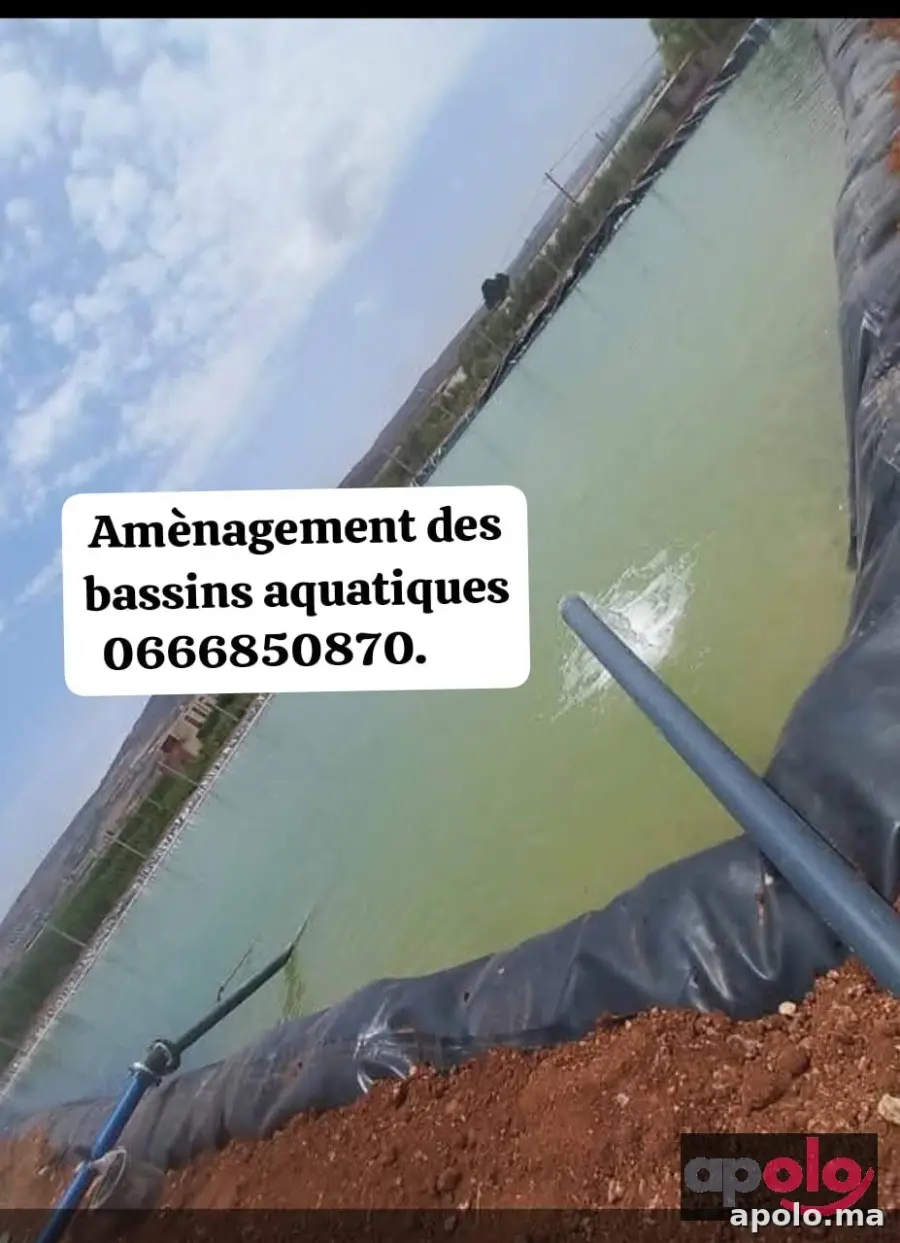 Construction et installation de bassins aquatiques