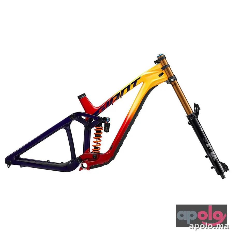 2024 Giant Glory Advanced Legends Edition Frameset (RACYCLESPORT)